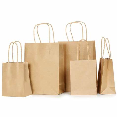 Brown Paper Carry Bags with Twist Handles