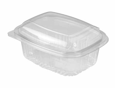 Rectangle Containers with Hinged Lid