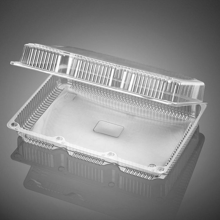Rectangular Plastic Container With Ribbon Rectangle Containers with Hinged Lid – Pronto Packaging SA