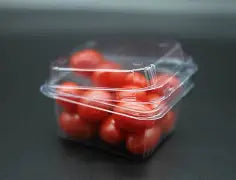 Clamshell Punnets with Hinged Vented Lids